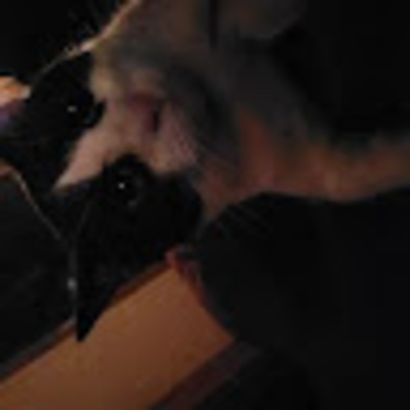 Meet your Posher, Ruth - Picture 1 of 1